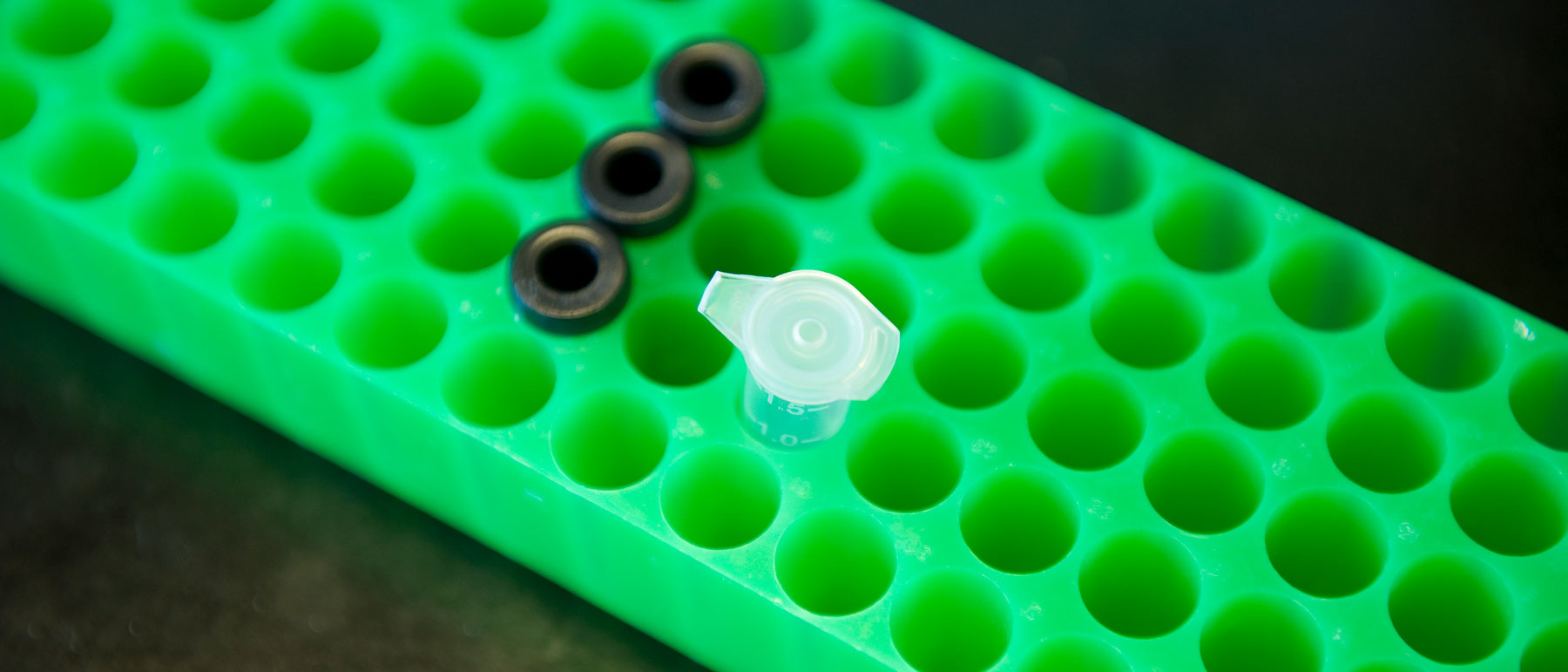 a tray holding biological samples in beakers