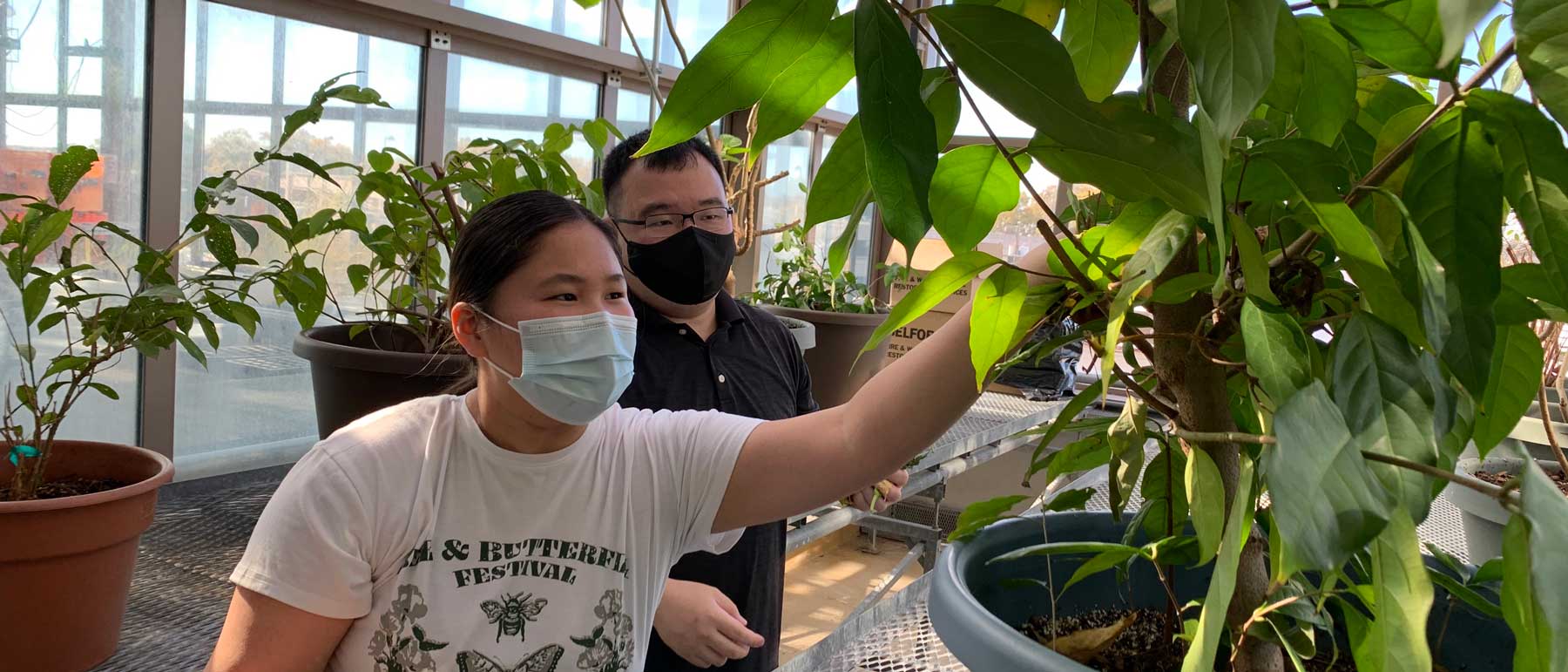 students in a greenhouse checking the leaves on a plant