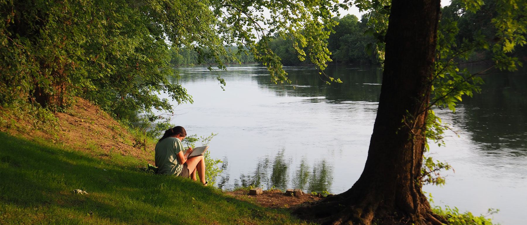 a student sitting on a verdant river bank reading a book