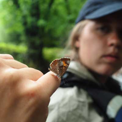 a tiny butterfly on top of a student's hand