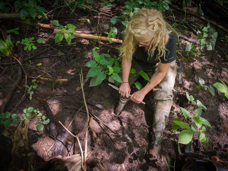 a v.c.u. student in the woods taking soil samples