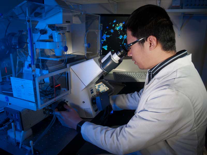 v.c.u. student peering through a microscope