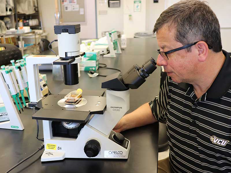 fernando tenjo-fernandez peering into a microscope in a lab